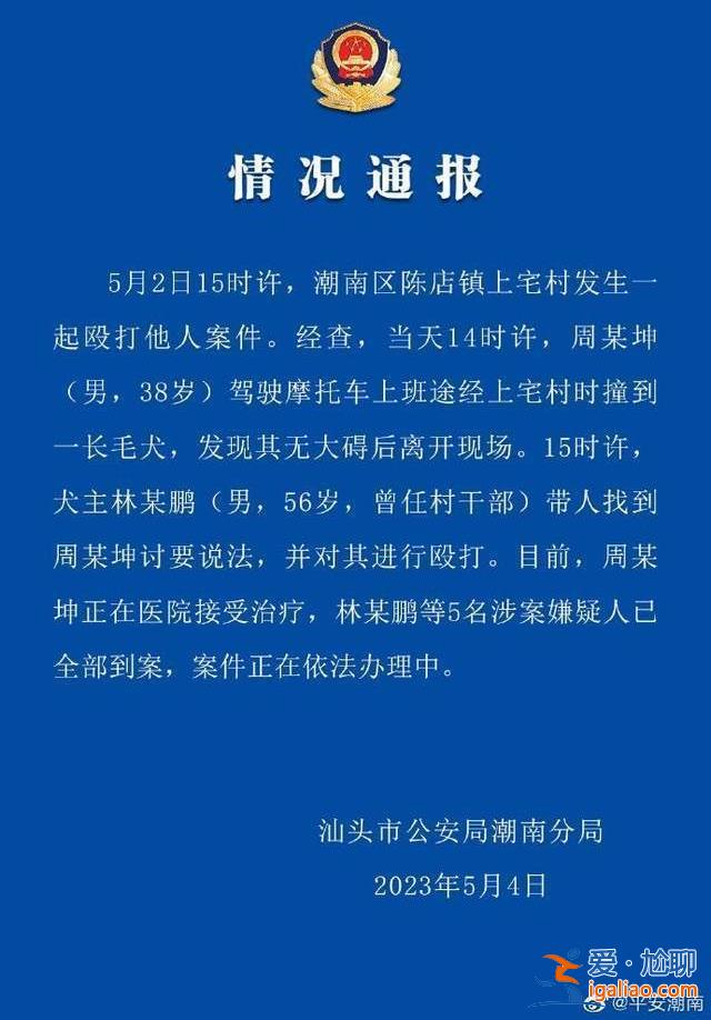 5人均已到案？