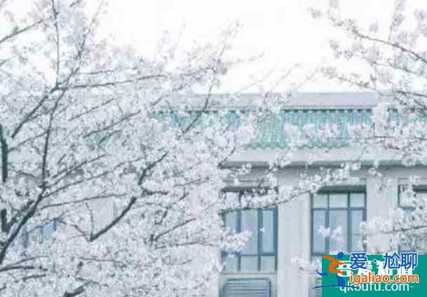 武大櫻花2022年什么時候開放？