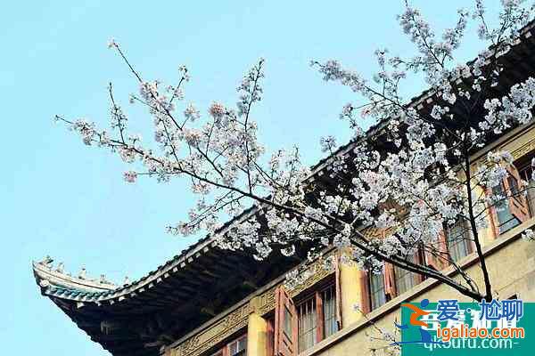 2022武漢大學(xué)櫻花節(jié)可以隨意免費(fèi)進(jìn)入嗎？