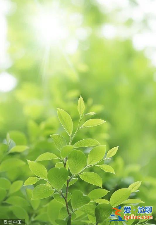 萬物生長 不負韶華？