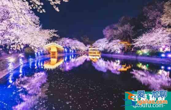 2022年無錫櫻花節時間及門票價格？