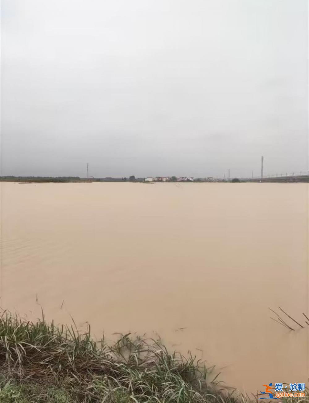 村民遇大水“敲門”住進學校 有農戶稻田魚塘均被淹？