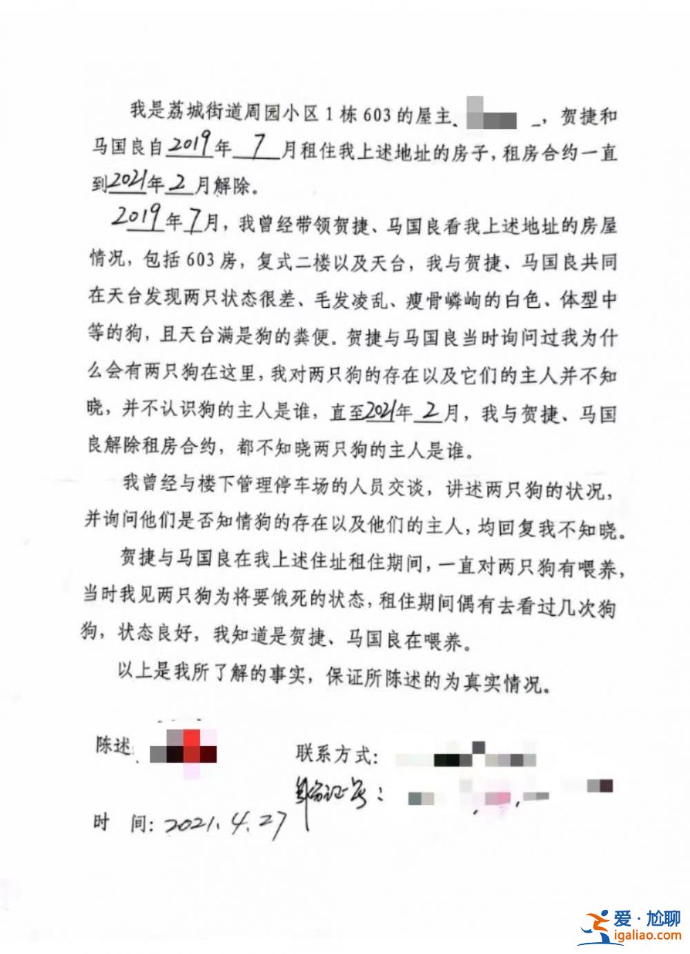 喂養兩條“棄狗” 一對年輕夫妻被指控盜竊罪、判處拘役4個月？