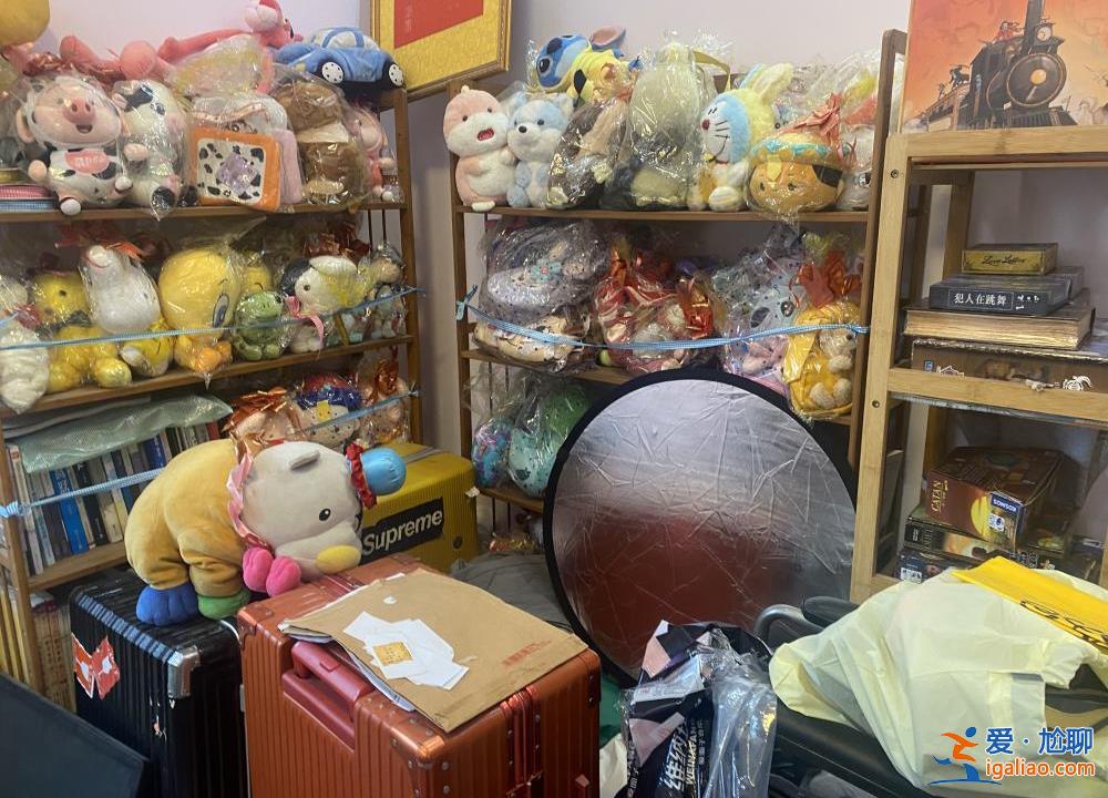 喂養兩條“棄狗” 一對年輕夫妻被指控盜竊罪、判處拘役4個月？