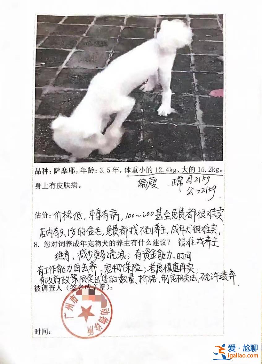 喂養兩條“棄狗” 一對年輕夫妻被指控盜竊罪、判處拘役4個月？