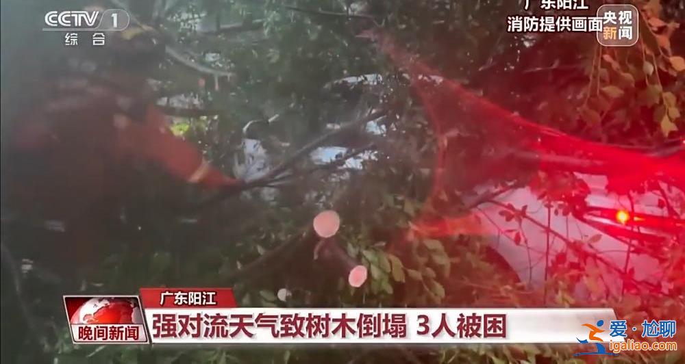 南方全面入汛 近期華南雨水仍頻繁？