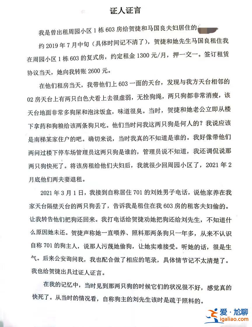喂養兩條“棄狗” 一對年輕夫妻被指控盜竊罪、判處拘役4個月？