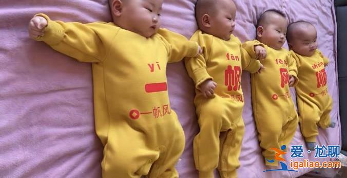 女子稱生四胞胎后又懷四胞胎 最新回應:考慮到母體的健康 已終止妊娠？