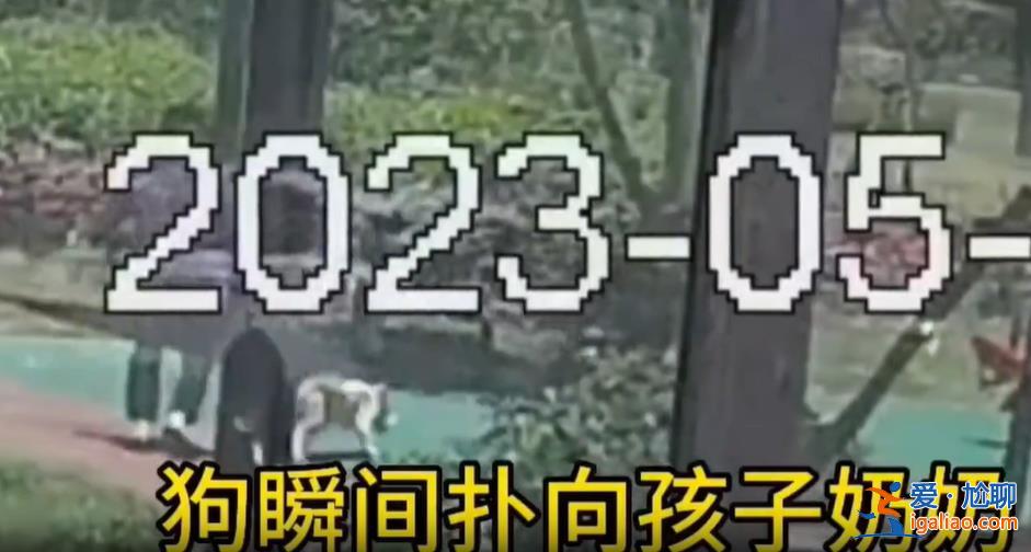 上海一兒童被打成腦震蕩！只因?qū)﹀薰啡苏f了這句話……？