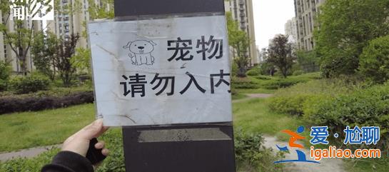 上海男子在遛狗時未栓繩，6歲男孩指錯被打成腦震蕩[遛狗時未栓繩]？