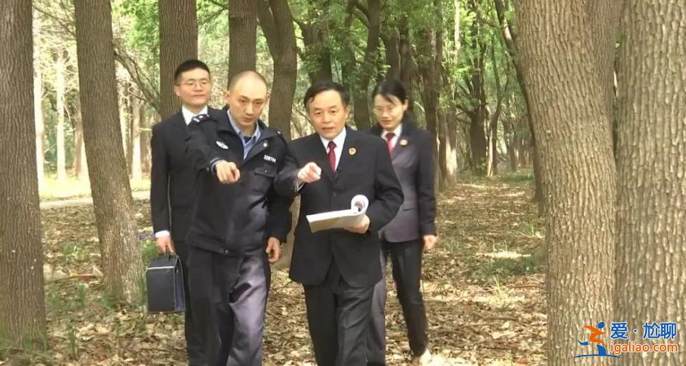 若敢以身試法 必將受到嚴懲？