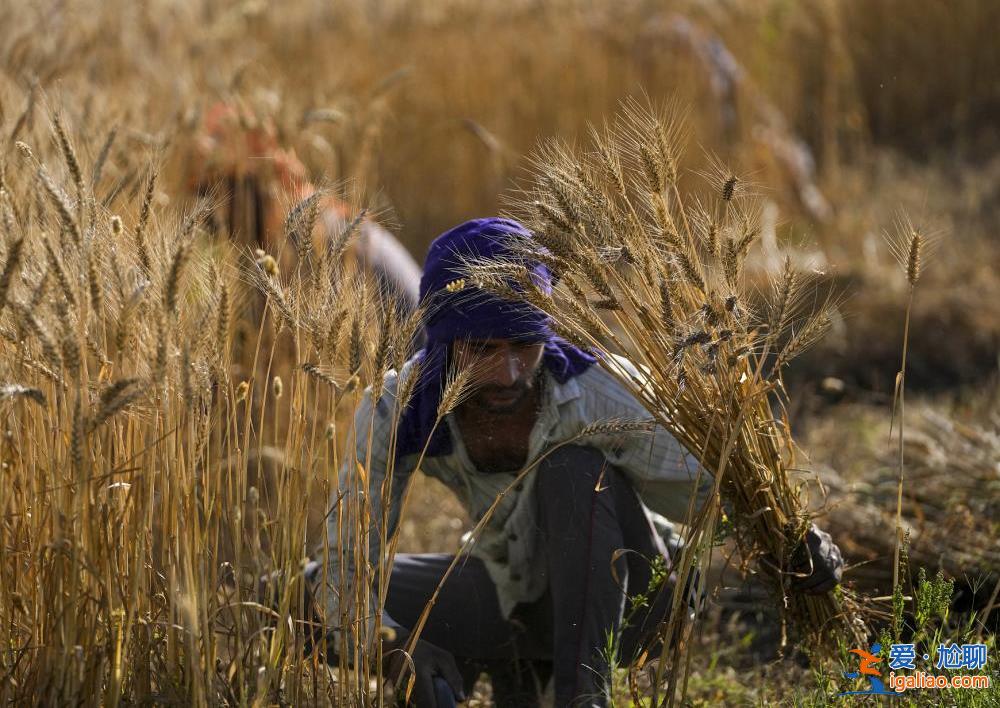 “白夜”將至？厄爾尼諾現(xiàn)象或?qū)w來(lái) 亞洲面臨超級(jí)高溫“烤”驗(yàn)？