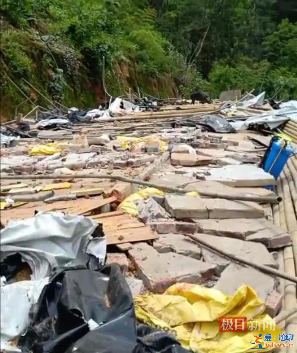 養豬戶豬舍被拆 疑用改裝槍射傷3名執法人員后逃走 遭通緝投案自首？
