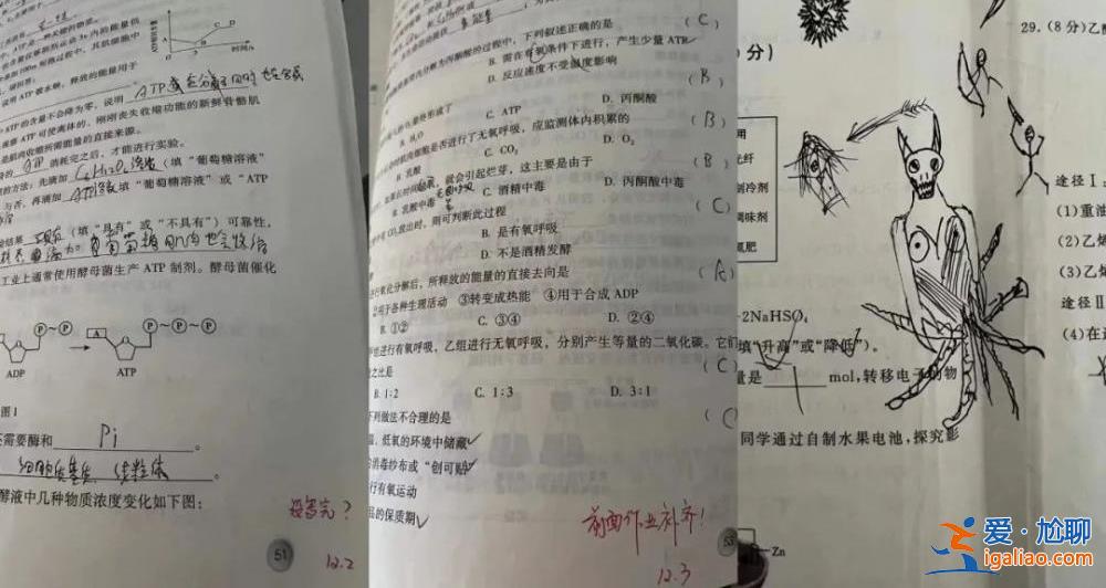 16歲男生校內傷人背后？