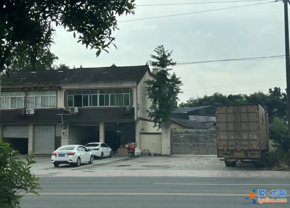 大涼山網紅背后的灰色地帶？