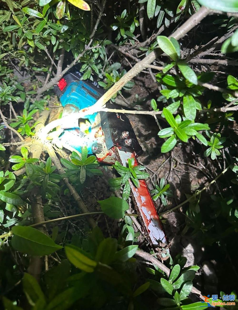 54歲女子毀容身亡 染血電鋸遺留在草叢中? 54歲女子毀容身亡 染血電鋸遺留在草叢中?