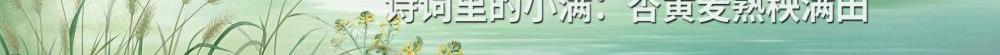24節(jié)氣為何獨(dú)缺“大滿”？？