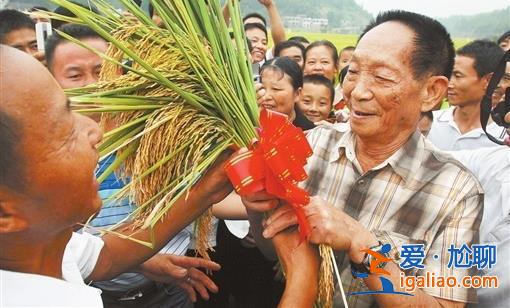 他臨終前從未表露痛苦 只關心雜交水稻？