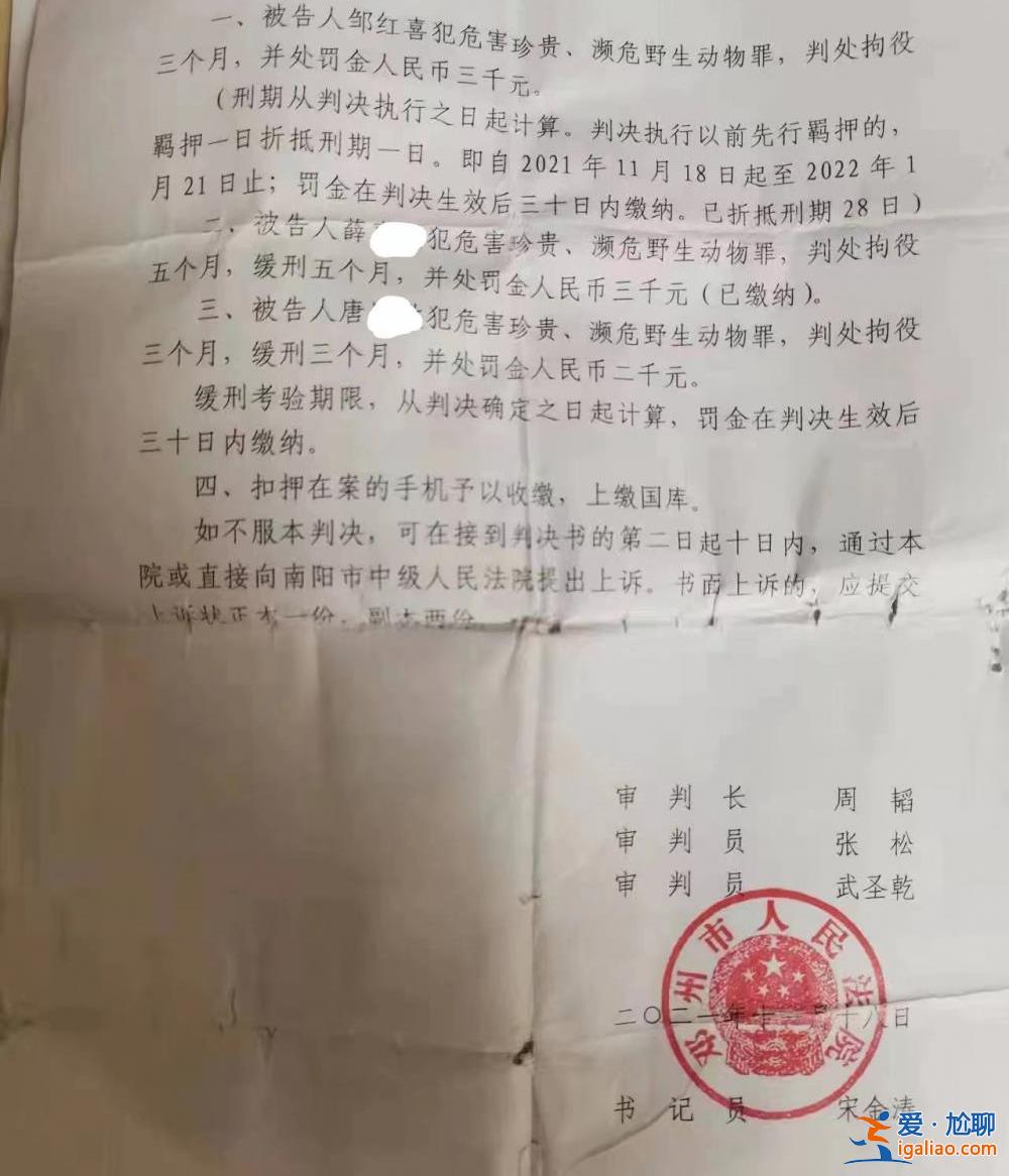 交易一只和尚鸚鵡三人獲刑 一人上訴被駁提申訴？