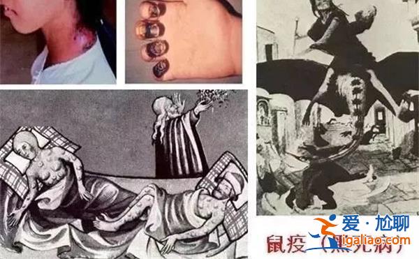 鼠疫讓老鼠陷入人人喊打局面，為什么鼠疫還是難以根除[難以根除]？