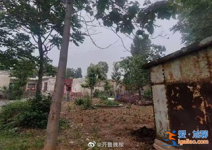 大學生掏鳥案當事人已出獄 服刑期間曾三次獲減刑？