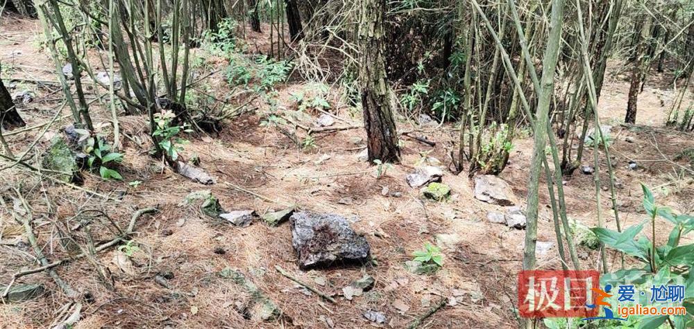 9歲男孩失蹤13年后尸骨現身山林地縫 兩名村婦被警方帶走? 9歲男孩失蹤13年后尸骨現身山林地縫 兩名村婦被警方帶走?