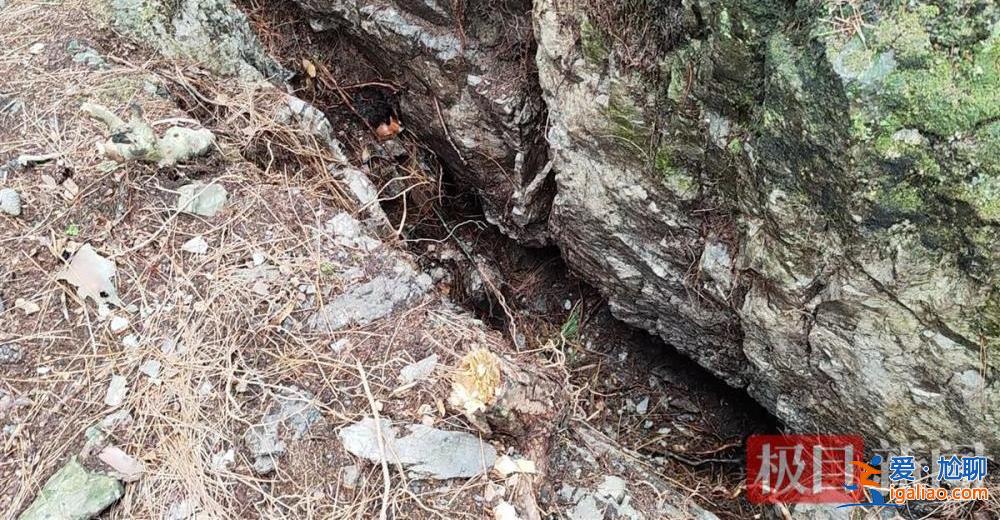 9歲男孩失蹤13年后尸骨現身山林地縫 兩名村婦被警方帶走? 9歲男孩失蹤13年后尸骨現身山林地縫 兩名村婦被警方帶走?