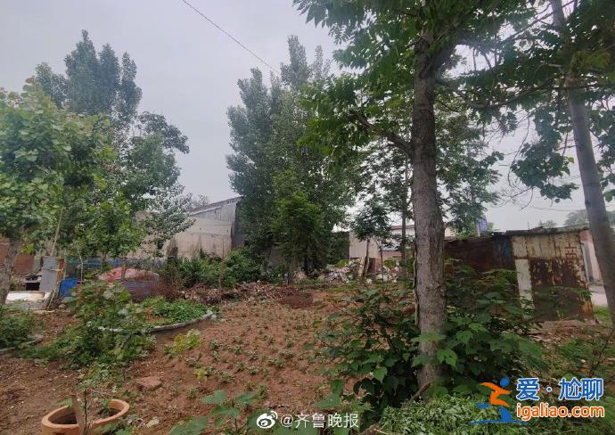 大學生掏鳥案當事人已出獄 服刑期間曾三次獲減刑？