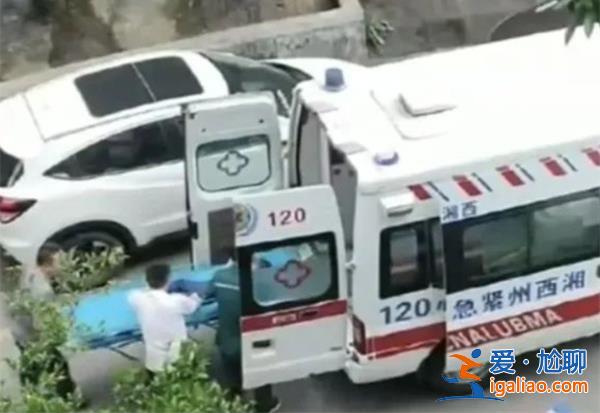 從26樓撐傘跳下男童目前生命體征比較平穩[跳下]？