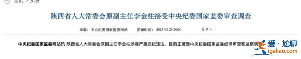 年近70歲的“老虎”被查！一個月前頻頻露面 系趙正永的下屬？
