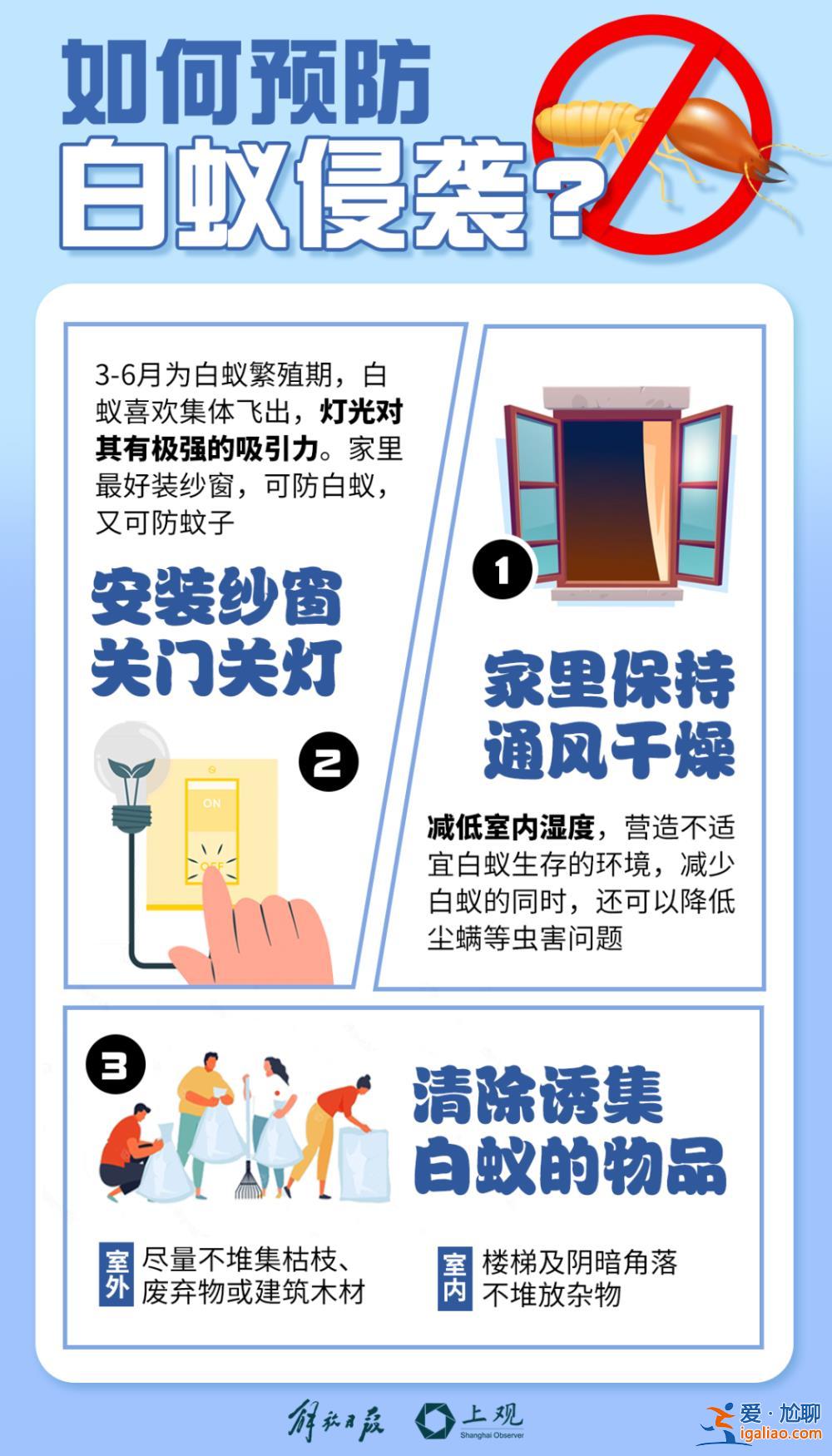 一直從天上掉下來(lái)白蟻的翅膀？