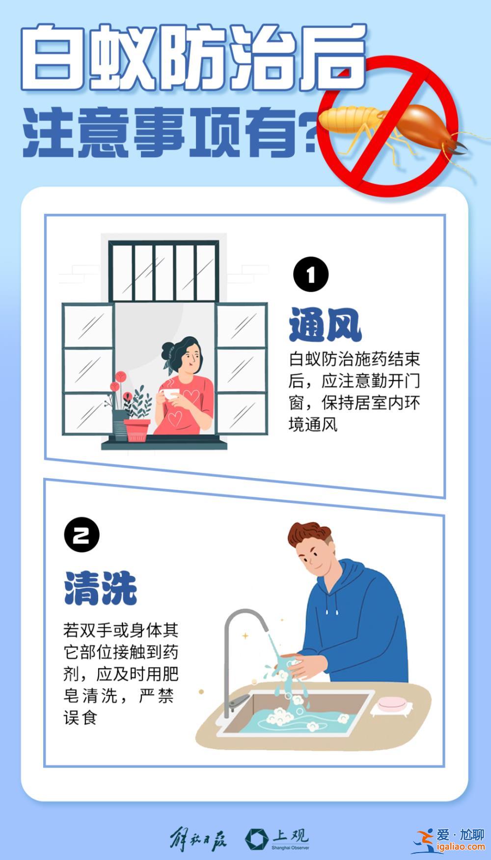 一直從天上掉下來(lái)白蟻的翅膀？