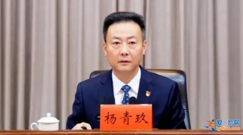 全國31省份省級公安廳廳長全部調整到位？