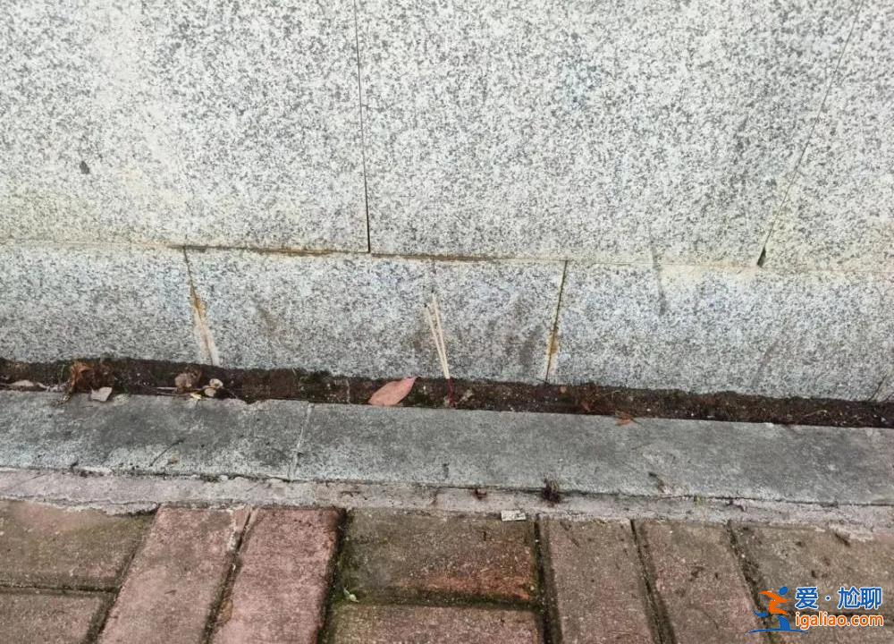 長沙一幼兒園門口車禍致被撞母女身亡 事故雙方均系送幼兒上學家長？