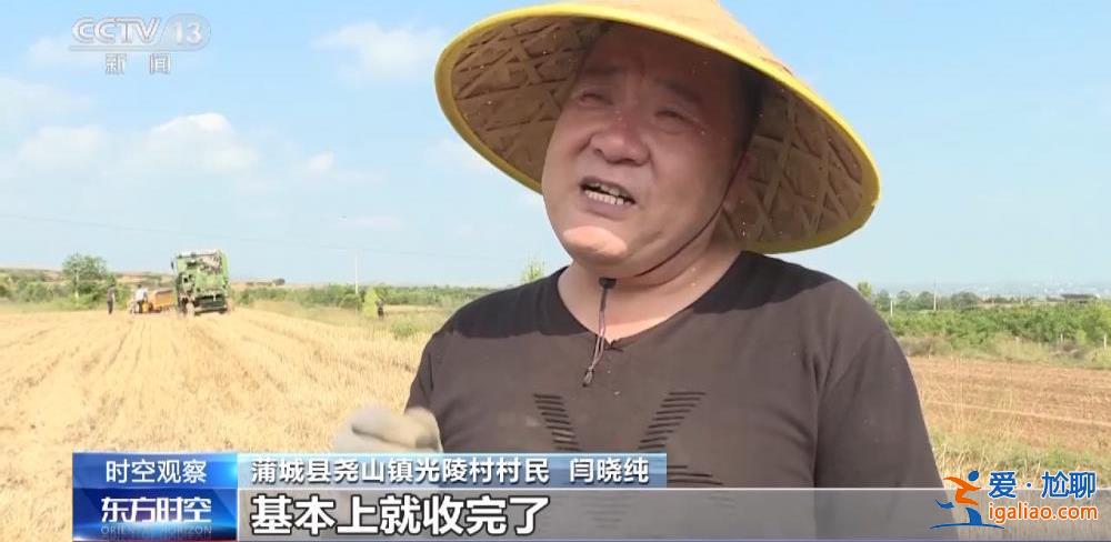 小麥漸熟 “爛場雨”下的三夏怎么“搶”？？
