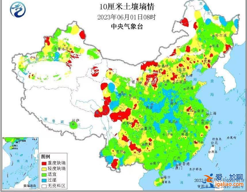小麥漸熟 “爛場雨”下的三夏怎么“搶”？？