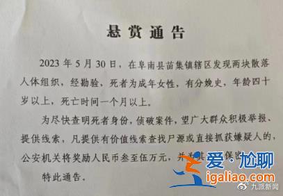 發現兩塊散落人體組織 安徽阜南懸賞3到5萬征線索？