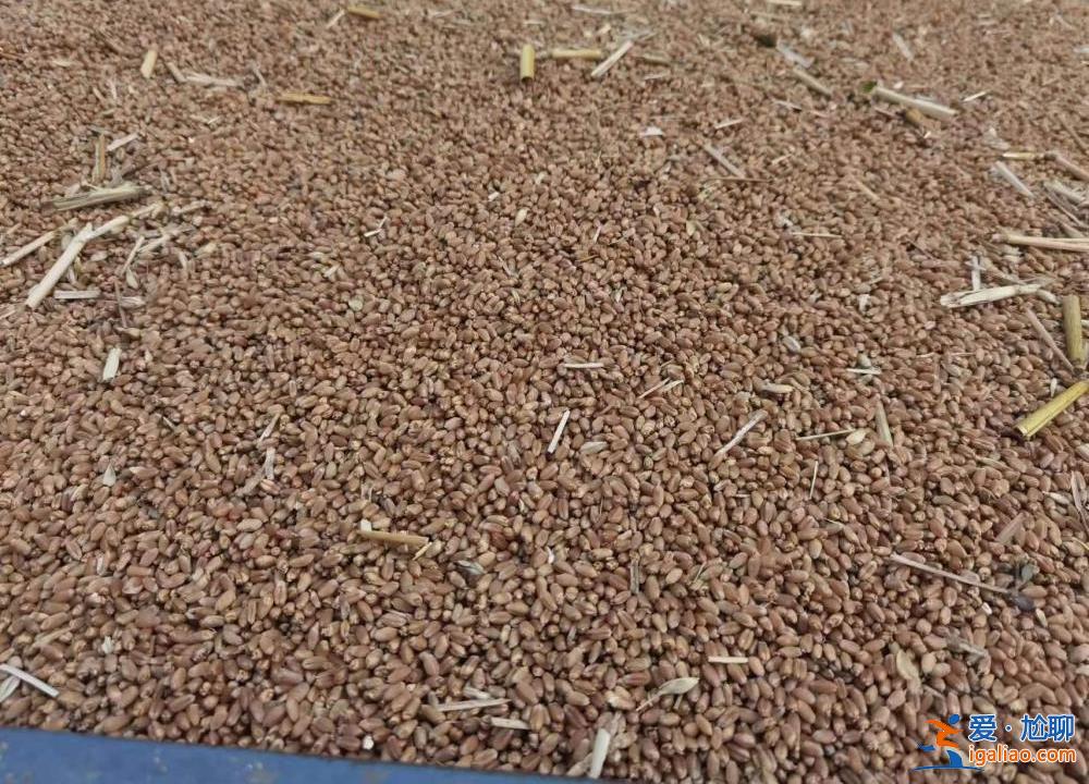 訂單爆滿 設備晝夜工作? 訂單爆滿 設備晝夜工作?