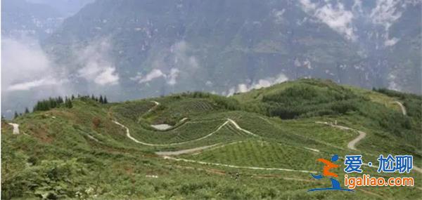 四川樂山發生高位山體垮塌事故，意外將造成14個人死亡[14人死亡]？