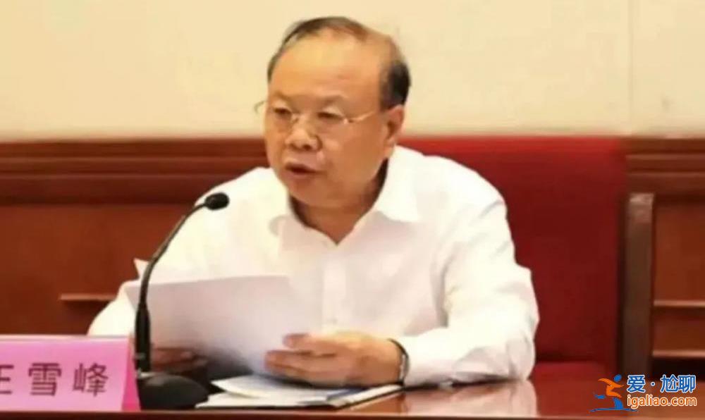 已有39個“老虎”被查！中央紀委國家監委 透露反腐最新動向？