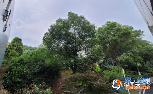 高考次日北熱南雨！華北黃淮等地晴熱持續 江南華南局地有暴雨？