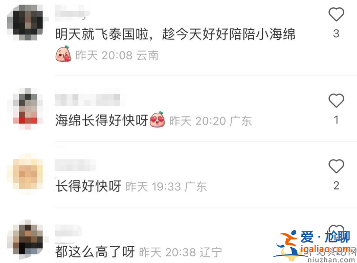 Baby近況曝光!獨自帶娃逛街，黃曉明忙和女友約會