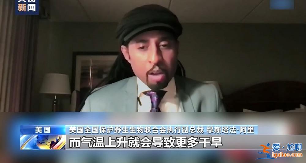 加拿大野火肆虐影響美國 野火頻發(fā)已成全球性問題？