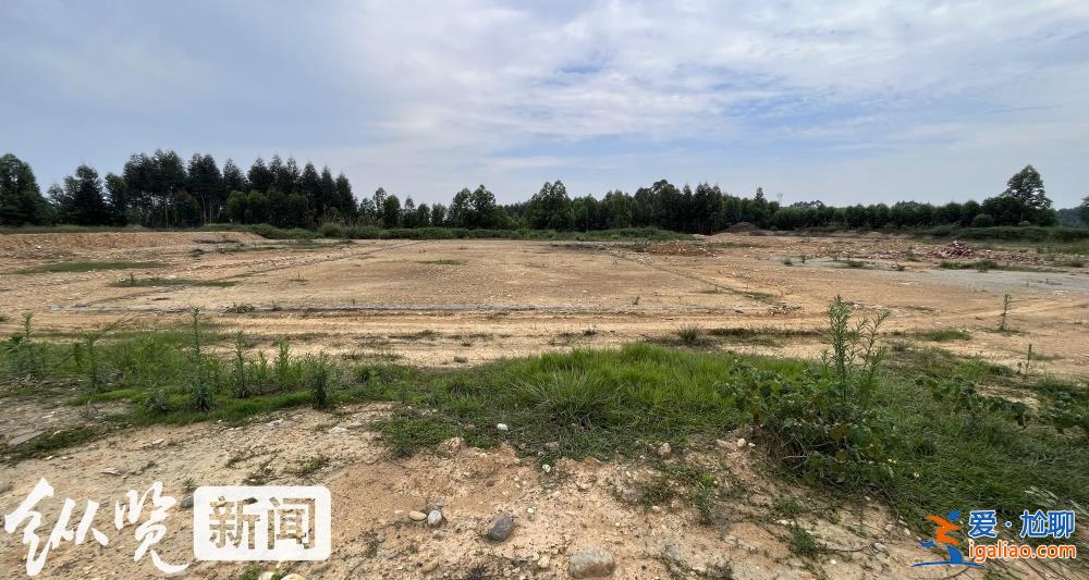 四川一招商引資項(xiàng)目停工荒廢 村民稱當(dāng)初不同意土地流轉(zhuǎn)反遭副鎮(zhèn)長(zhǎng)呵斥“有多遠(yuǎn)滾多遠(yuǎn)”？