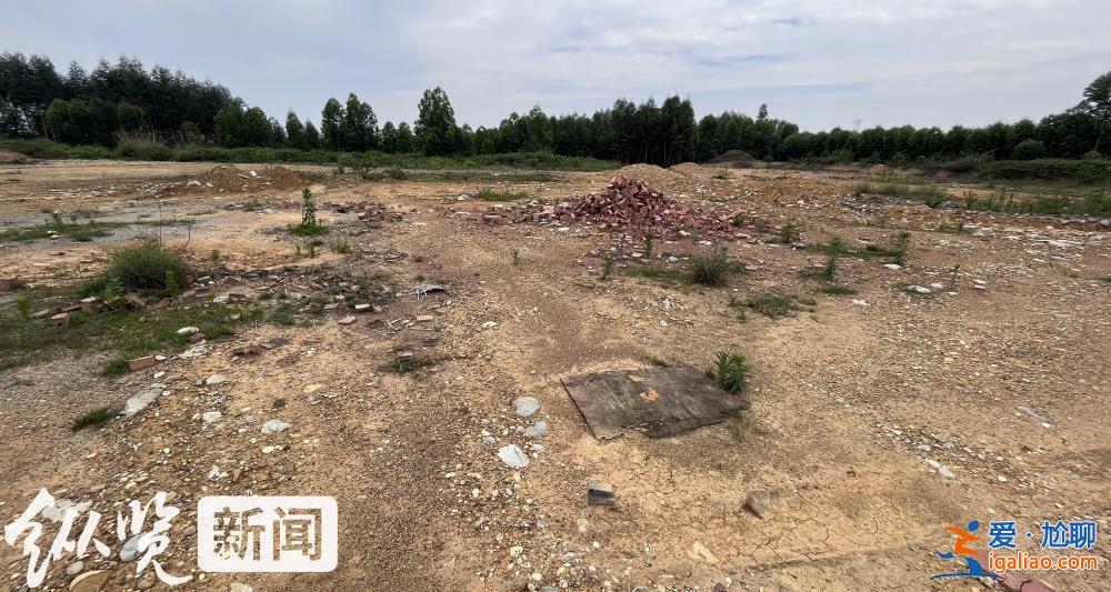 四川一招商引資項(xiàng)目停工荒廢 村民稱當(dāng)初不同意土地流轉(zhuǎn)反遭副鎮(zhèn)長(zhǎng)呵斥“有多遠(yuǎn)滾多遠(yuǎn)”？