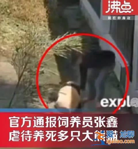 飼養員張鑫虐待大熊貓?官方回應? 飼養員張鑫虐待大熊貓?官方回應?