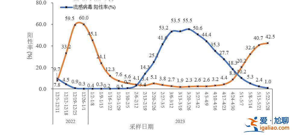 XBB及其亞分支占比增長到92.4% 疫情呈下降趨勢? XBB及其亞分支占比增長到92.4% 疫情呈下降趨勢?
