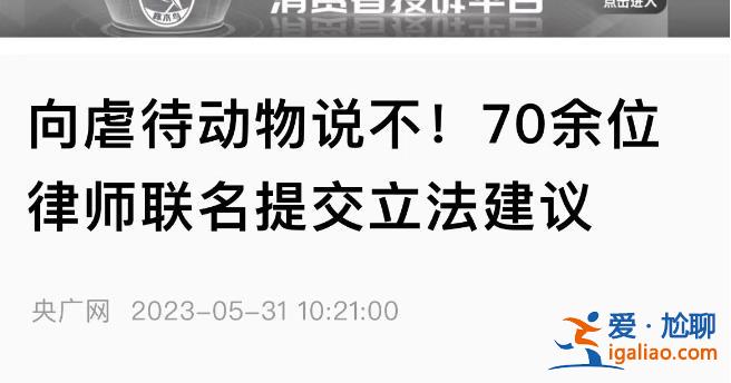 深圳地鐵反虐動物廣告遭投訴 “陰暗角落”再引爭議？