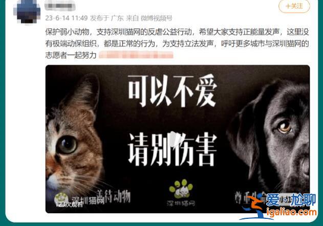 深圳地鐵反虐動物廣告遭投訴 “陰暗角落”再引爭議？