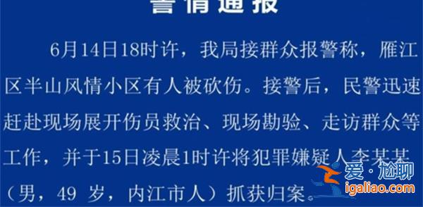 四川發(fā)生入室搶劫 警方通報(bào)系感情糾紛？